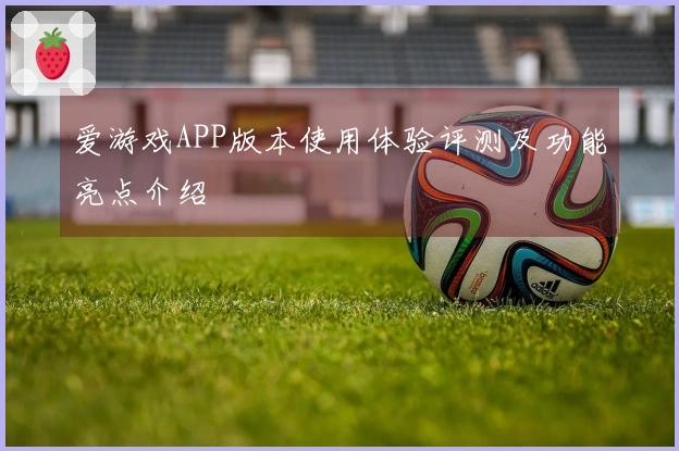 爱游戏APP版本使用体验评测及功能亮点介绍