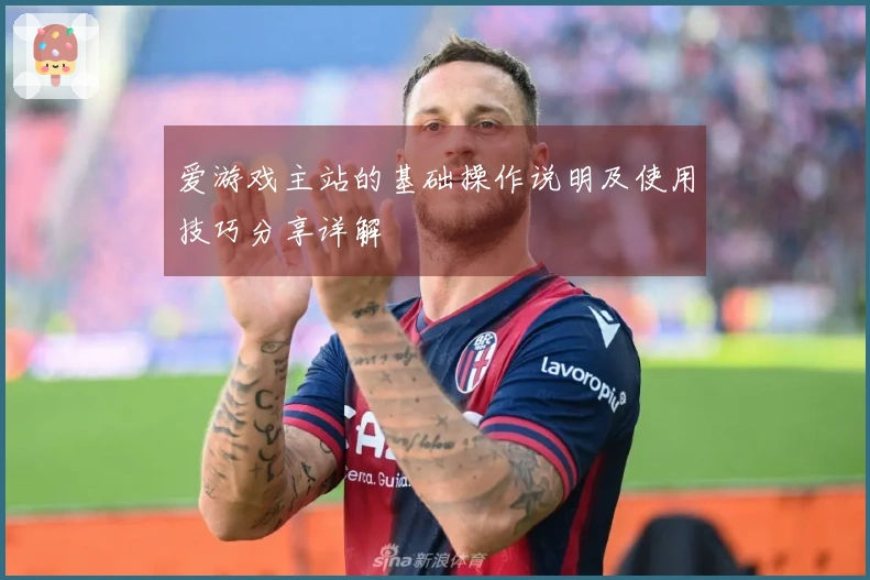 爱游戏主站的基础操作说明及使用技巧分享详解